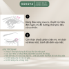 Serum Dưỡng Dài Mi Kissme Watering Eyelash Serum Phiên Bản Mới Nhật Bản 5.5g 12 102