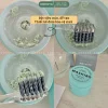Bột làm trắng răng Mashiro Whitening Tooth Powder hỗ trợ làm trắng răng, răng ố vàng, răng xỉn màu Nhật Bản 30g 10 vn 11134207 820l4 mimoiwpp2io14d