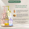 Dầu dưỡng tóc các dòng &HONEY Nhật Bản 100ml 13 1