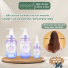 Dầu gội xả, dầu dưỡng cho tóc nhuộm &honey Color Control Repair Nhật Bản 24 43 1