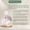 Phấn Phủ DECORTÉ Loose Powder Kiềm Dầu, Nền Mịn Mượt Trong Suốt, Lâu Trôi 12 Giờ Nhật Bản 16G/20G 14 63