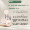 Phấn Phủ DECORTÉ Loose Powder Kiềm Dầu, Nền Mịn Mượt Trong Suốt, Lâu Trôi 12 Giờ Nhật Bản 16G/20G 16 66